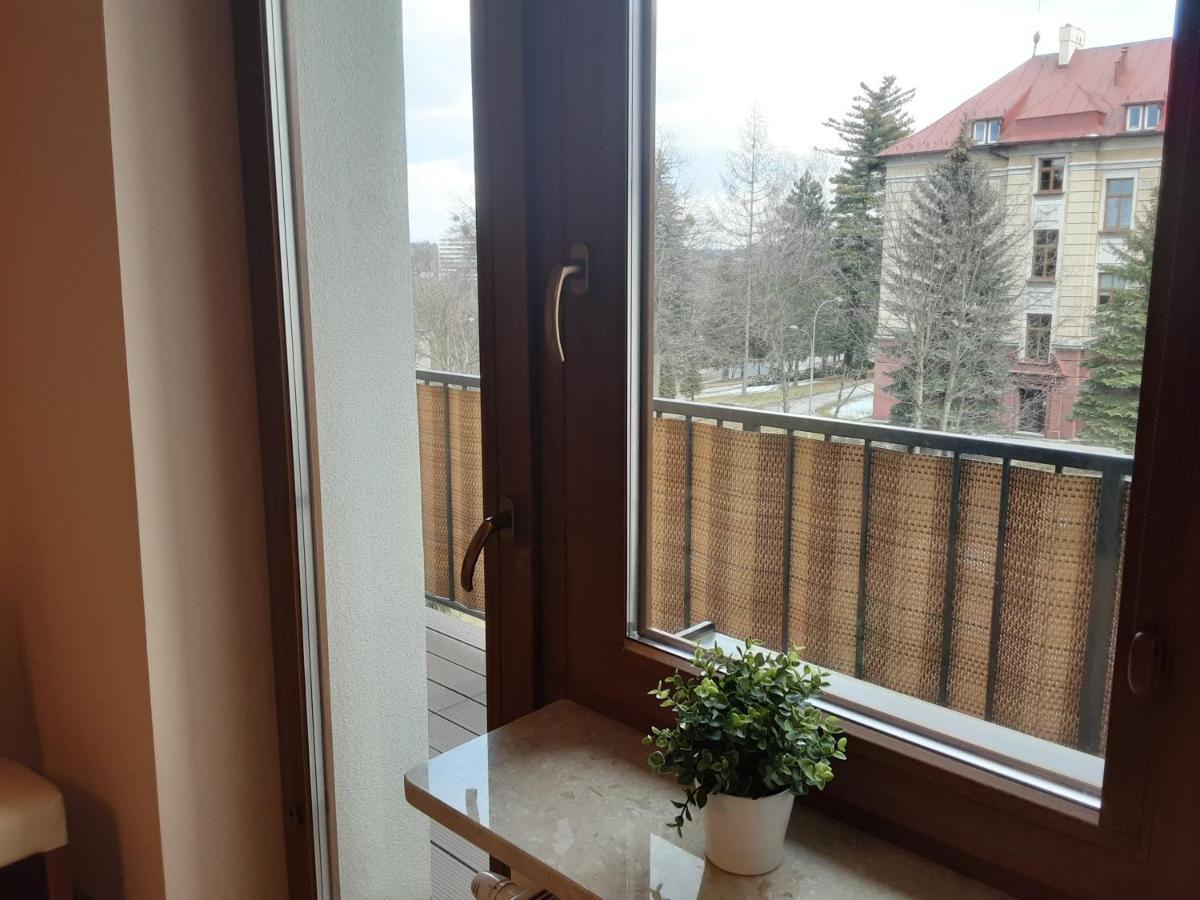 Academy Cieszyn * Cieszyn (Silesia)