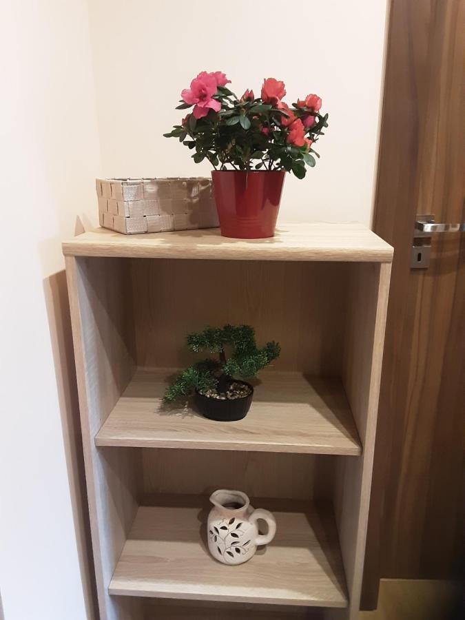 Academy Cieszyn Apartment Cieszyn (Silesia)