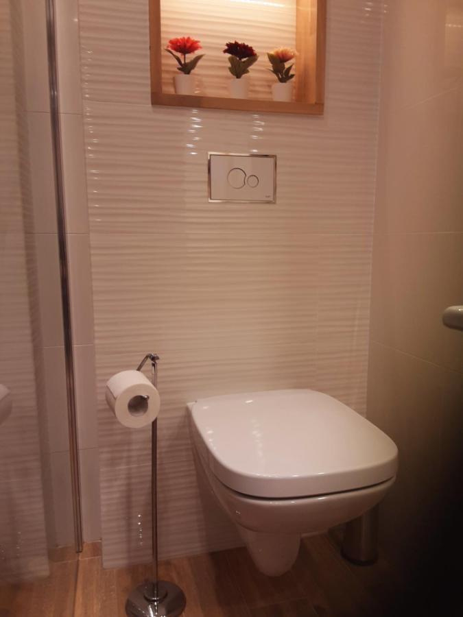 Academy Cieszyn Apartment Cieszyn (Silesia)