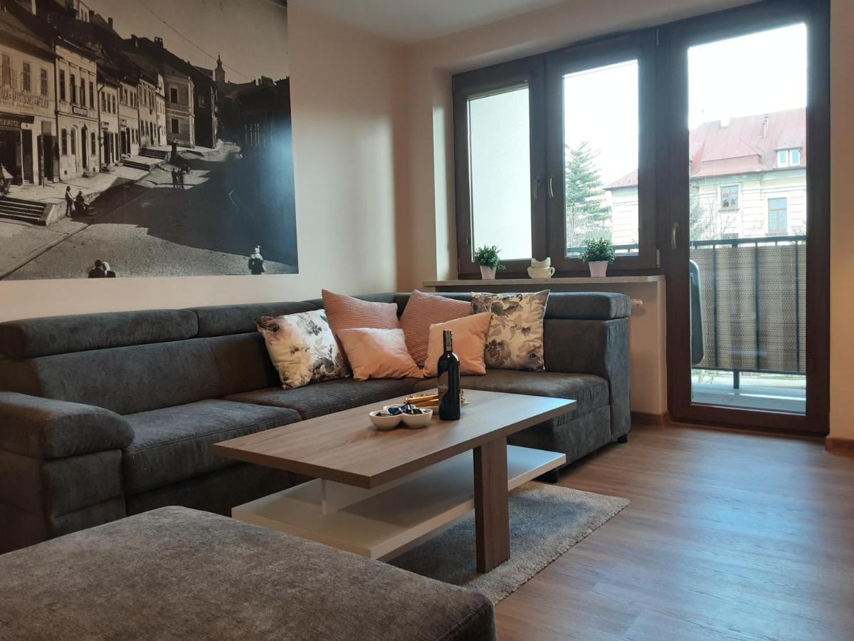 Academy Cieszyn Apartment