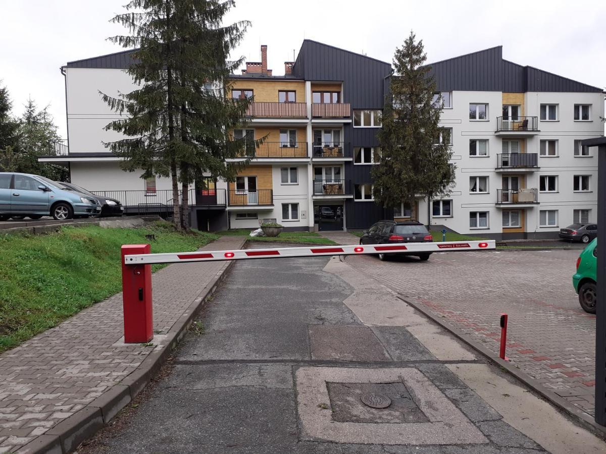 Academy Cieszyn *
