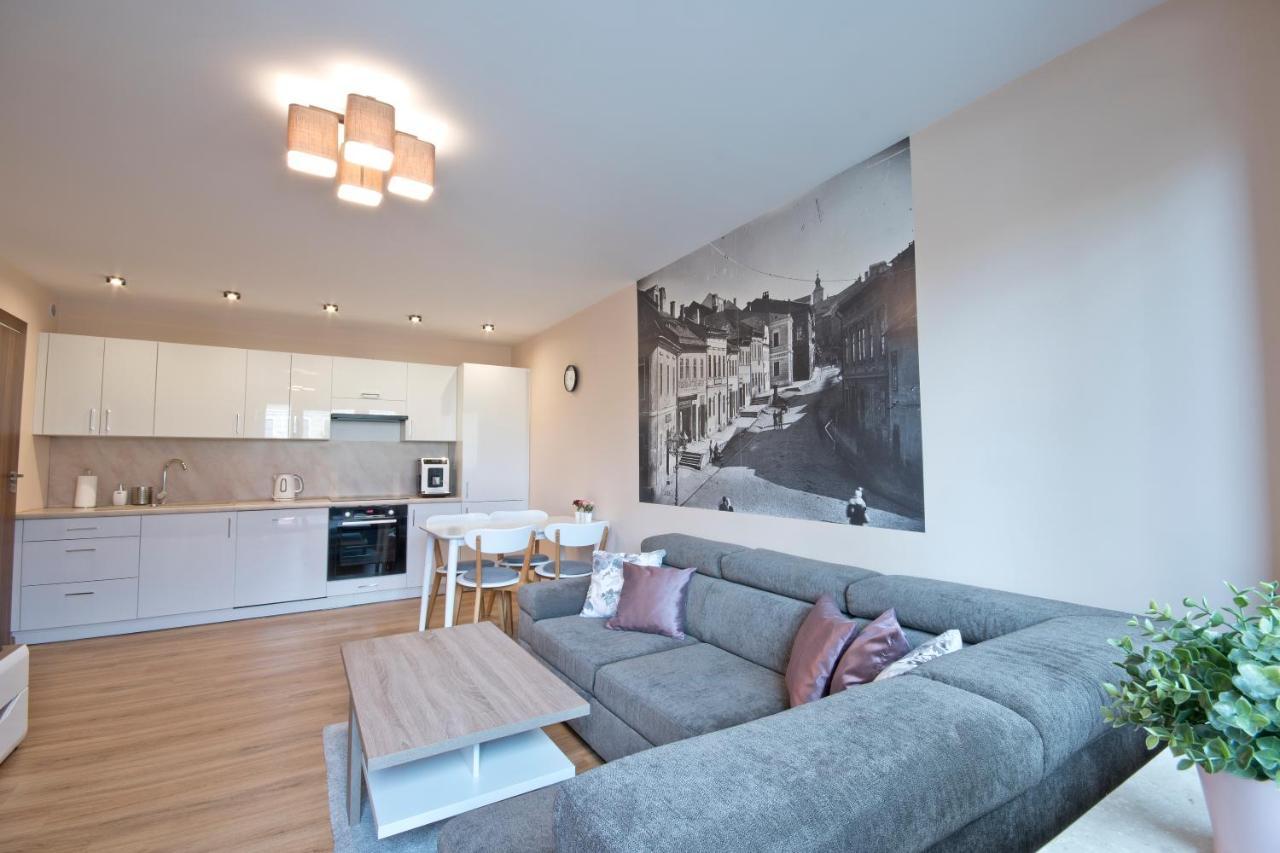 Academy Cieszyn Apartment *